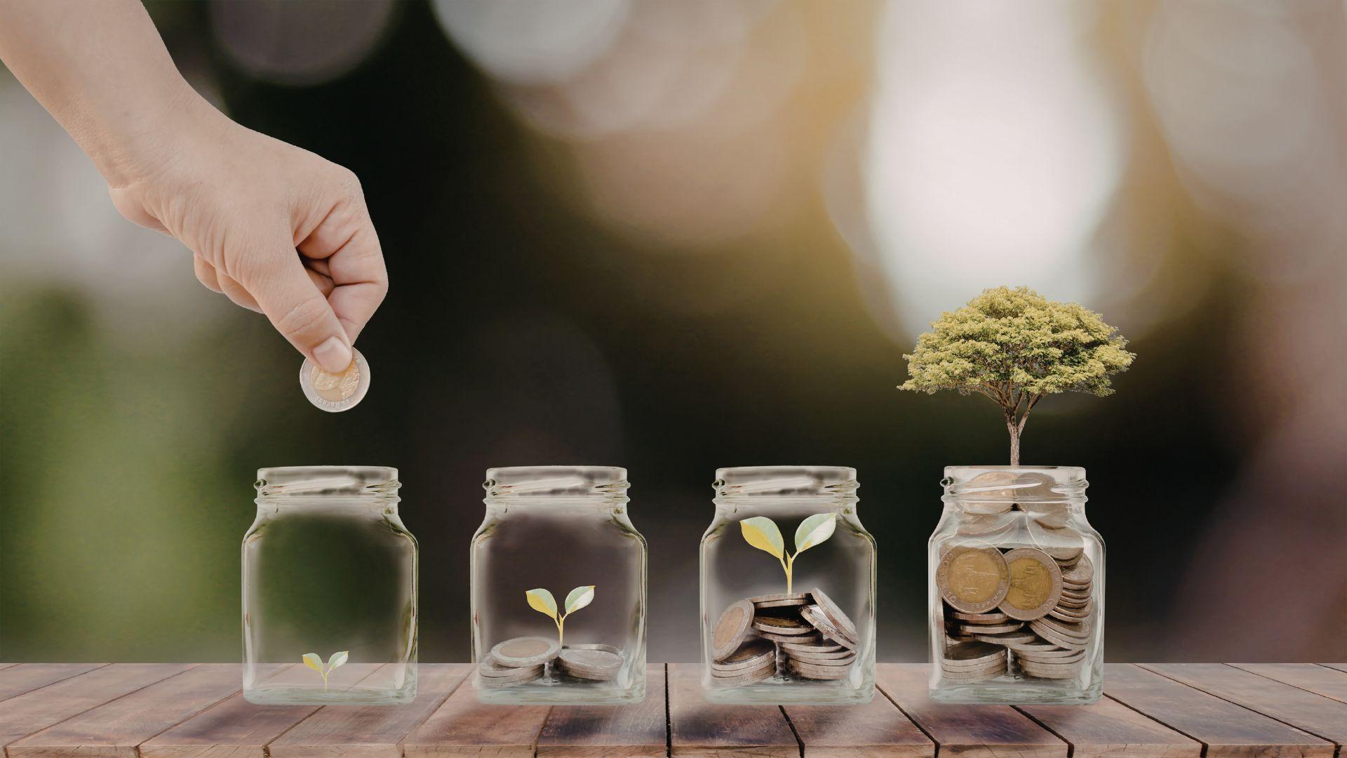 Jars in a line with a growing number of coins and a small plant growing in each jar